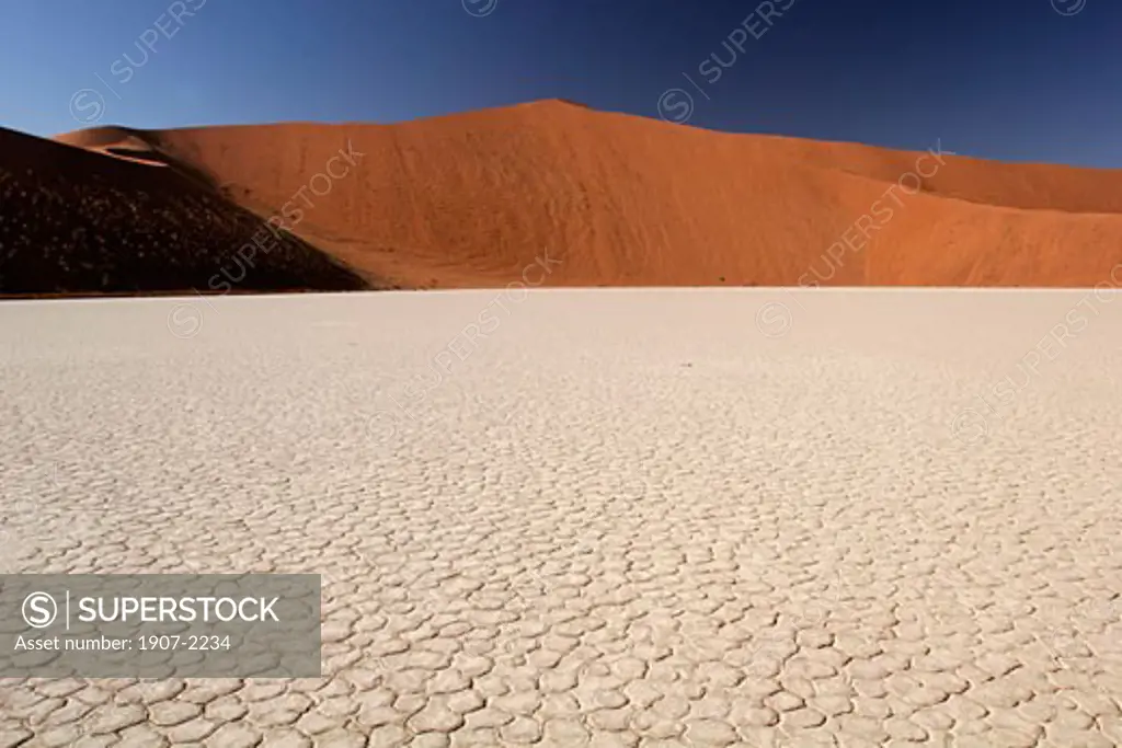 The Deadvlei valley  in the Sossusvlei national park where the dunes can reach 340 meters  the soil is dry for 60 years