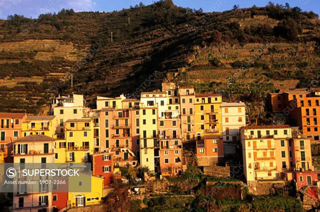 Cinque Terre  faades and frontages of Manarola  from the hill trail