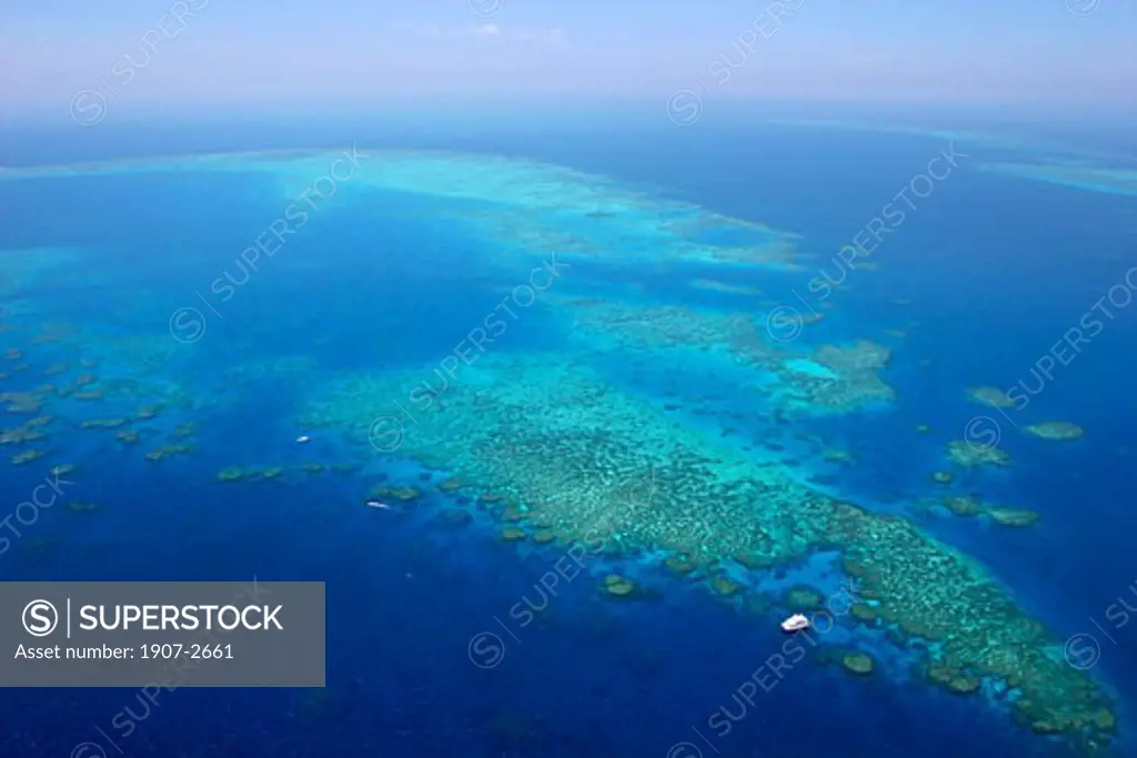 The great reef barrier  Cairns  Queensland  Australia