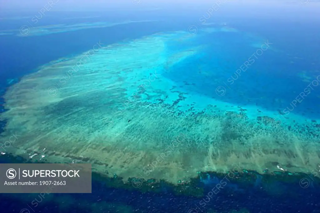 The great reef barrier  Cairns  Queensland  Australia