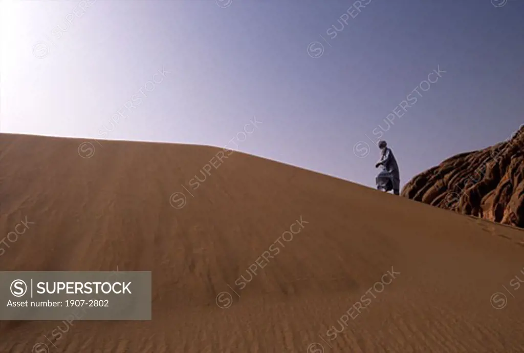 Around El Ghuessour a Touareg walking on the crest of a high dune Hoggars tassilis algerian desert