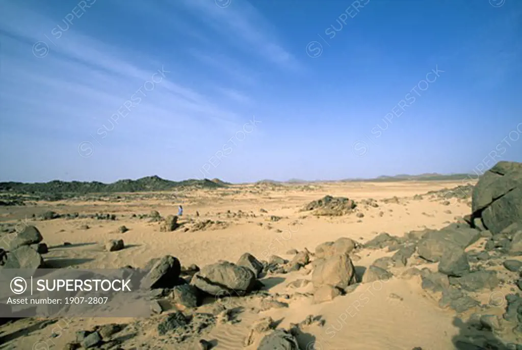 Last plain before the Tahagaart stone cathedrals Hoggars tassilis algerian desert