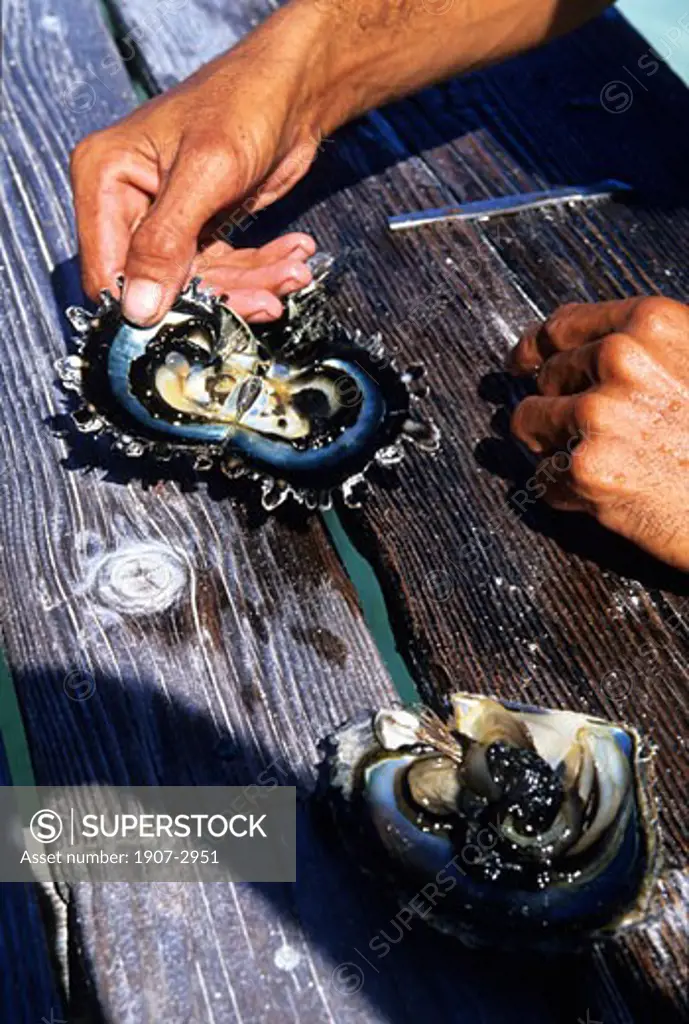 In the Tuamotu islands call in a oysters farm Takapoto atoll