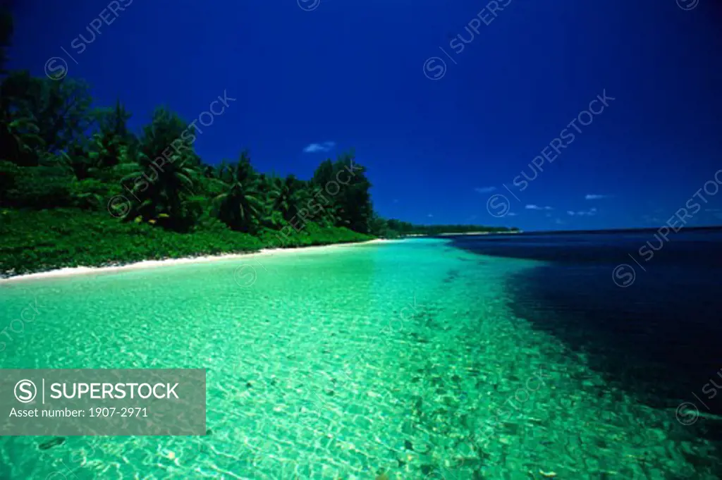 Seychelles  Desroches  beach and mangrovia on the south coast