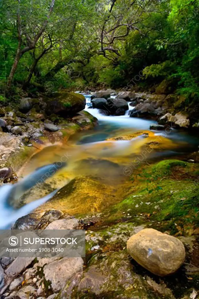 Landscape shot of a Costa Rica rainforest with river flowing through beautiful yellow colored rocks complimented by the lush greens of the rainforest Rincon de la Vieja