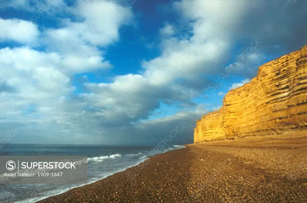 Burton Bradstock Cliffs and beach in winter sun sunshine Dorset England UK United Kingdom GB Great Britain British Isles Europe EU