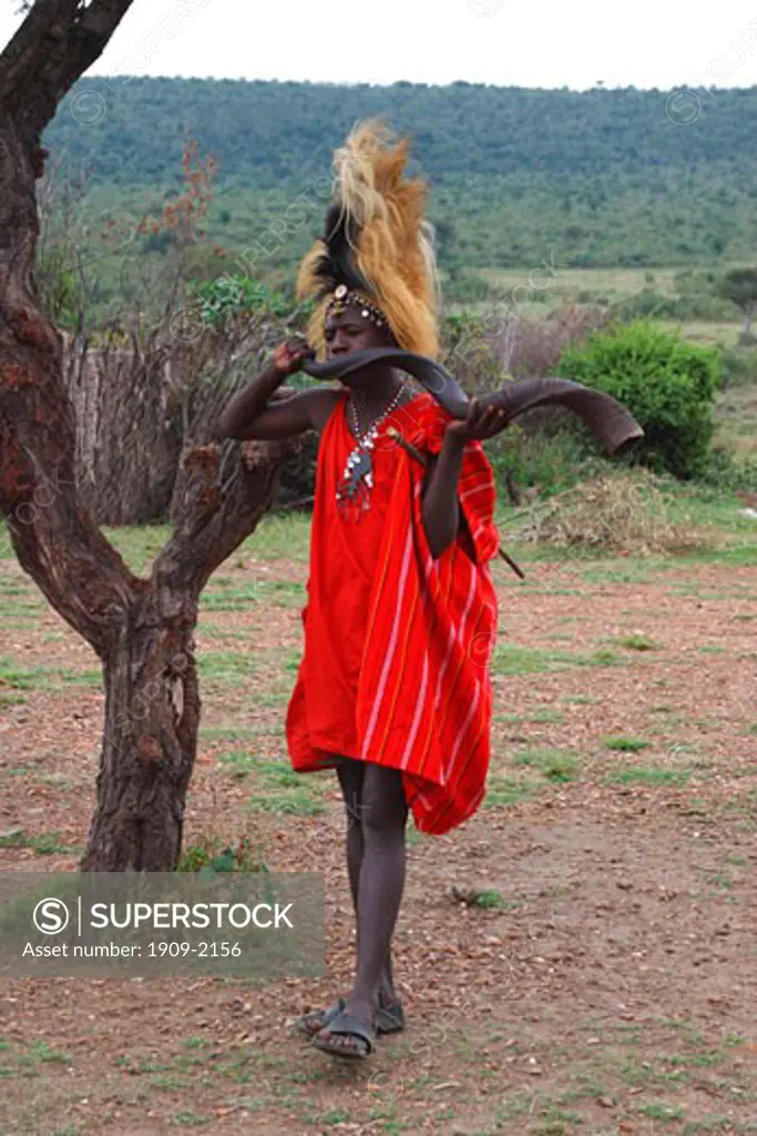 Masai warrior in Lion Mane headress blowing antelope horn Masai Mara Tribal village Kenya East Africa Until the 1980 s a man could only become a warrior after killing a lion