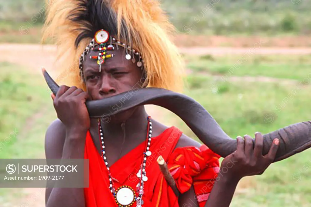 Masai warrior and chief of tribal village wearing lion mane head-dress and blowing antelope horn during welcome ceremony for tourists on safari Masai Mara National Nature Reserve Kenya East Africa