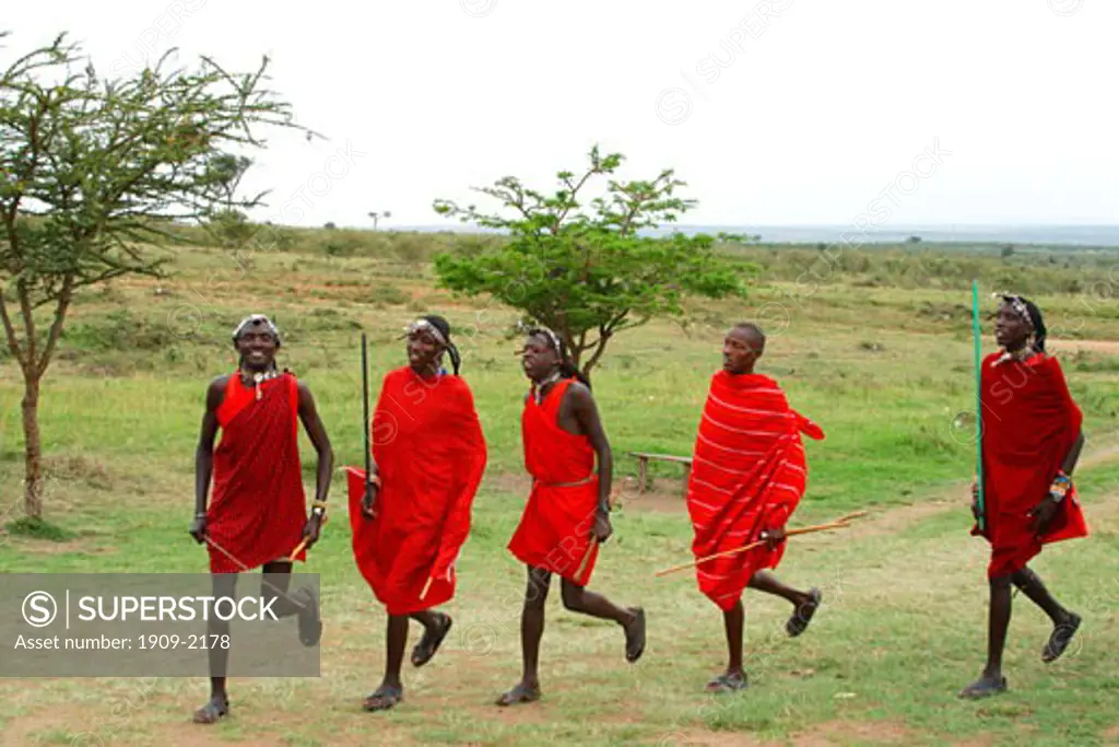 Maasai warriors perform welcome dance Masai Mara Tribal village Kenya East Africa