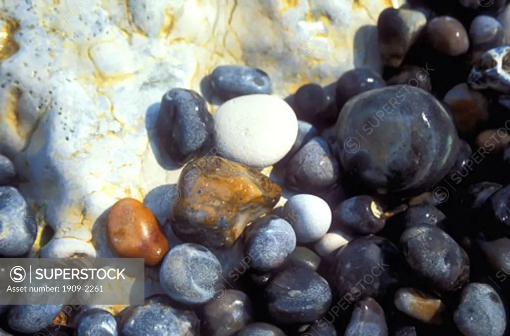 Flint pebbles on beach Lulworth Cove Dorset England UK United Kingdom GB Great Britain British Isles EU
