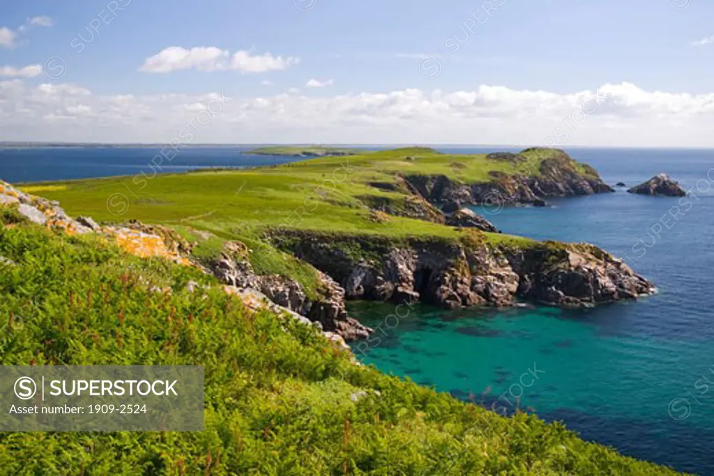 Saltee Islands coastline in spring sunshine County Wexford Eire Ireland Europe EU