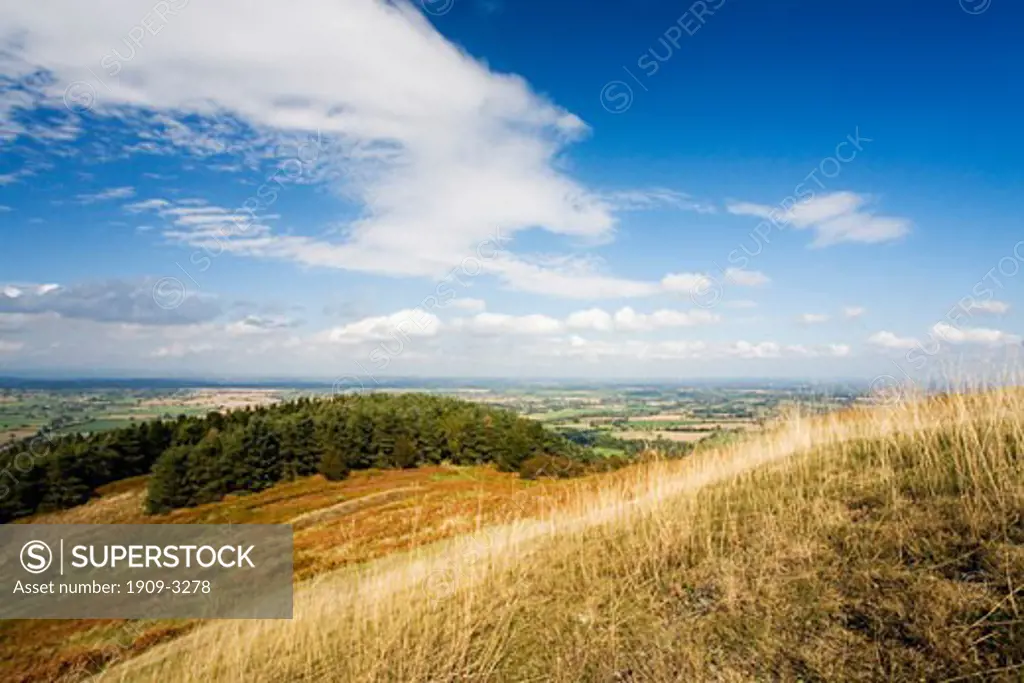 Shropshire Hills Earls Hill Pontesford in summer sun sunshine with blue sky England UK United Kingdom GB Great Britain British Isles Europe EU