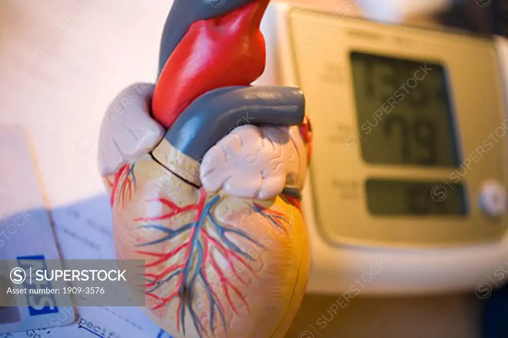Electronic Sphygmomanometer scale and model of heart close-up close up closeup macro photograph of medical instrument used by doctors to measure blood pressure BP