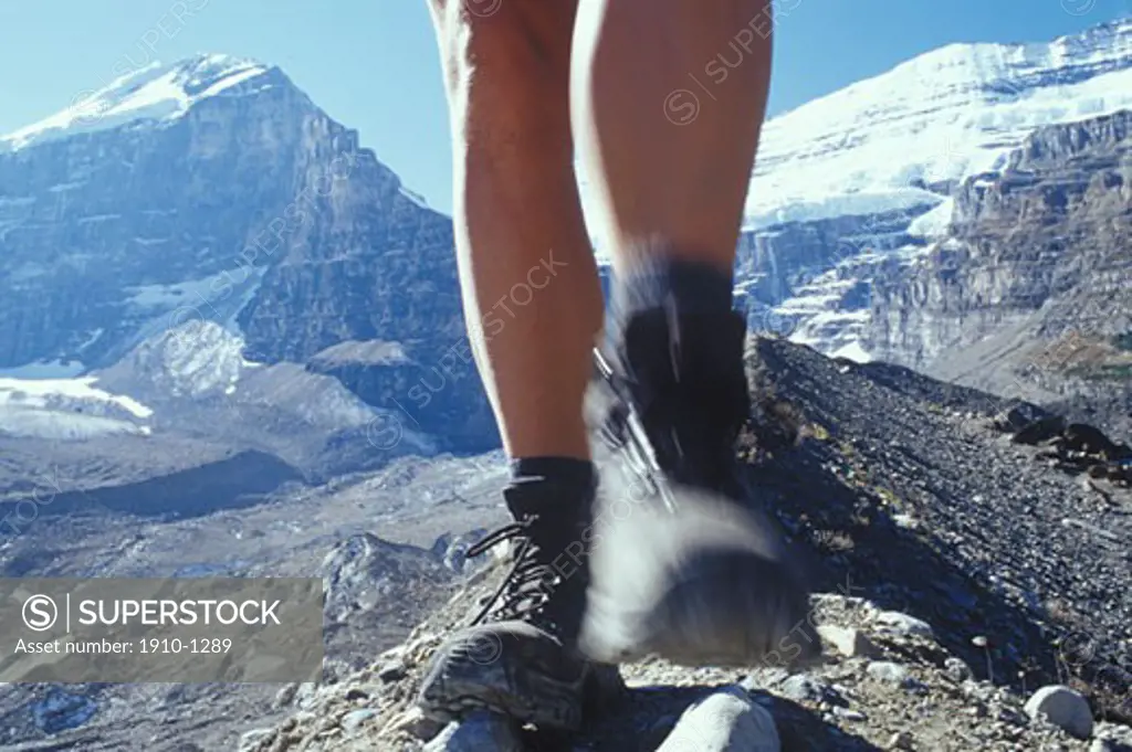 Hiker on crest of moraine below Mt Lefroy Mt Victoria and Death Trap near Lake Louise in Banff Natl Park CANADA Alberta