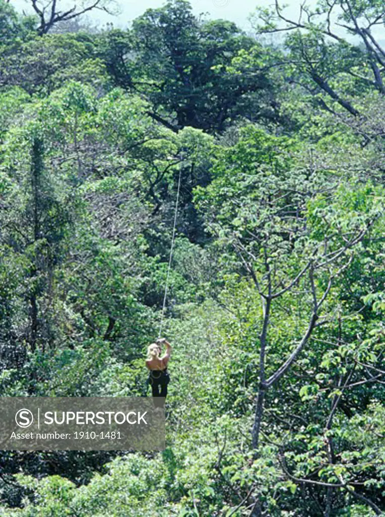 Woman traversing zip line in jungle Parts of Costa Rica receive up to 300 inches of rainfall annually creating lush jungles COSTA RICA Guanacaste province