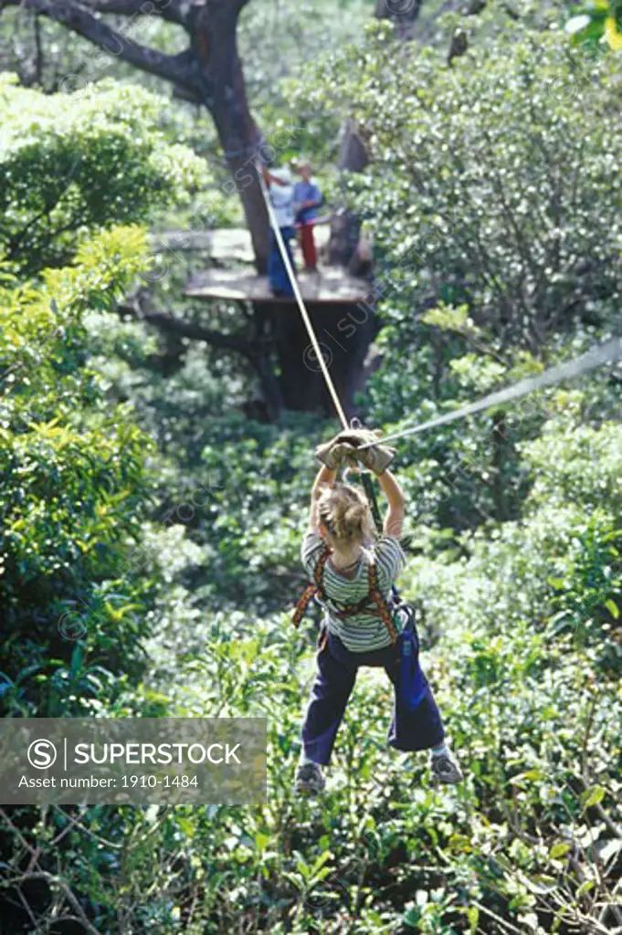 Girl 9 traversing zip line in jungle Zip lines were developed in different parts of Costa Rica during the 1990s to allow tourists an overhead glimpse of jungle canopy COSTA RICA Guanacaste province