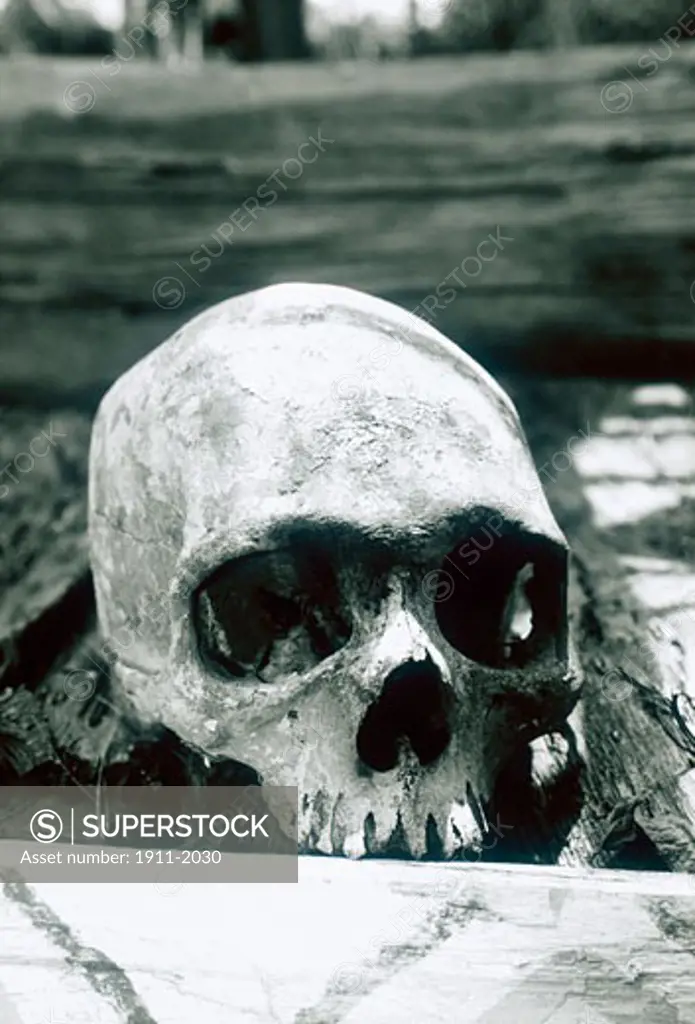 Papua New Guinea  Tari Highlands  skull in grave