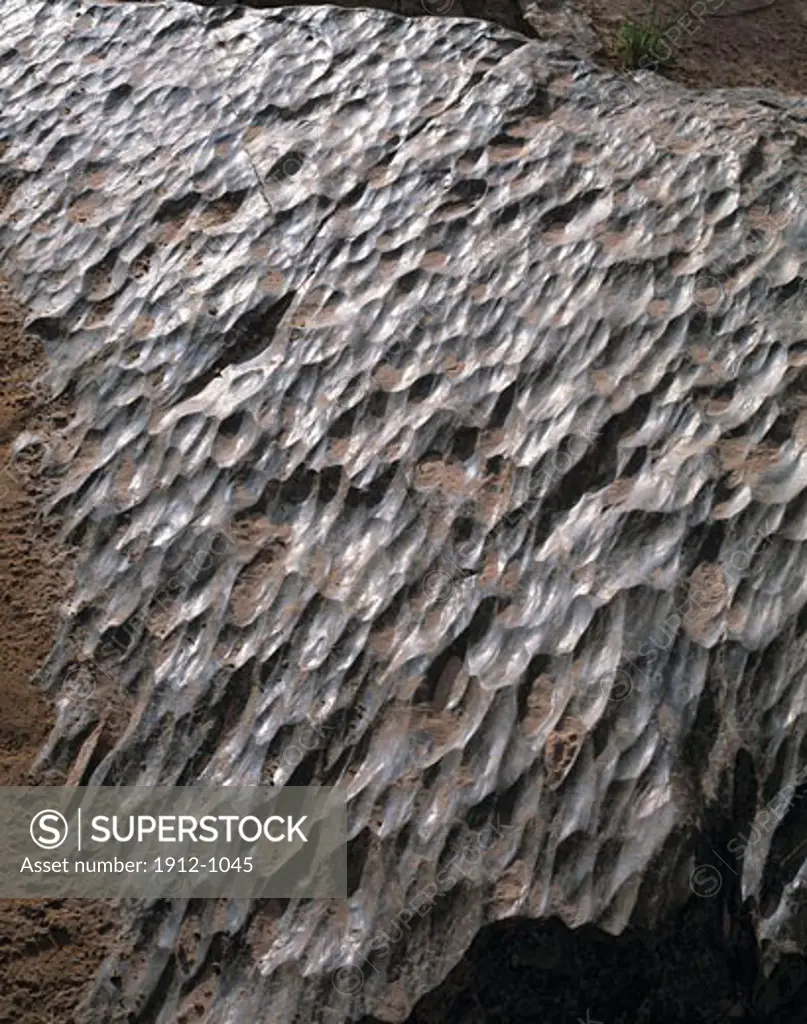 Polished Limestone Detail  Grand Canyon National Park  Arizona