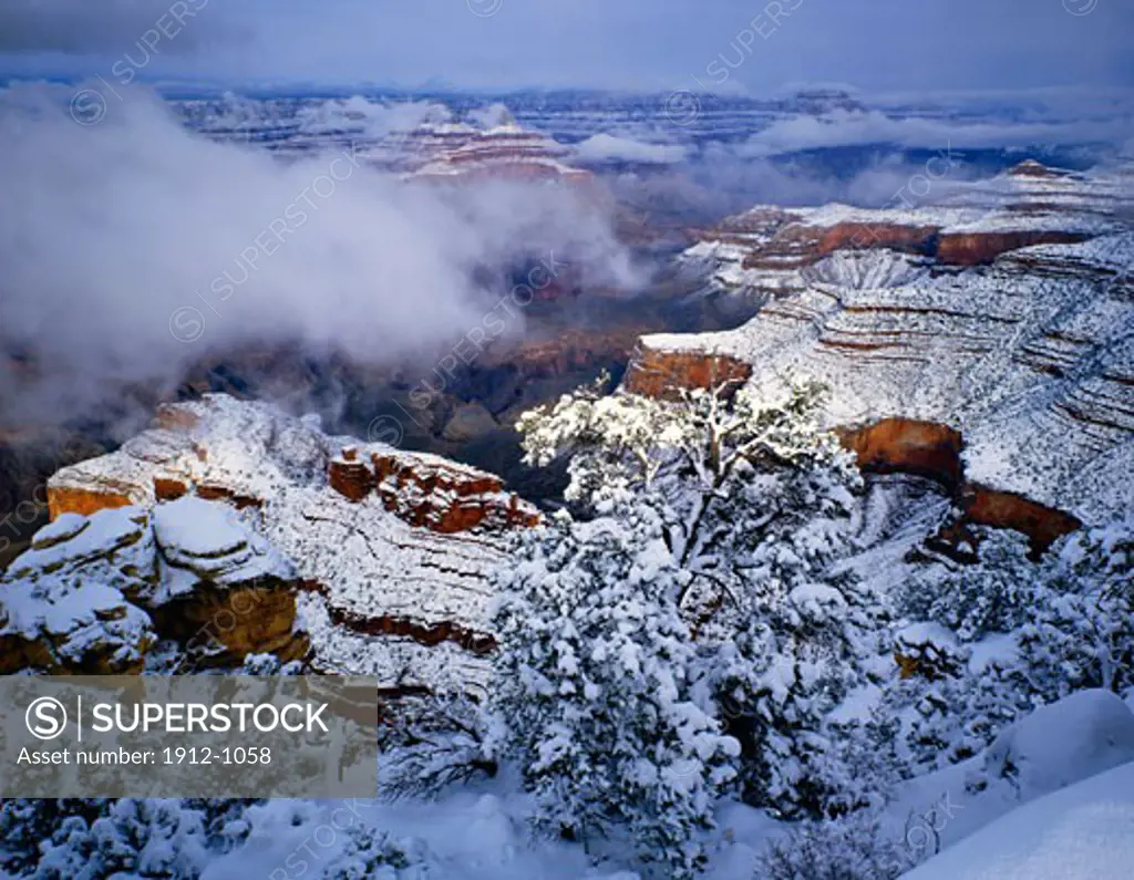 Morning Snow at the South Rim  Grand Canyon National Park  Arizona