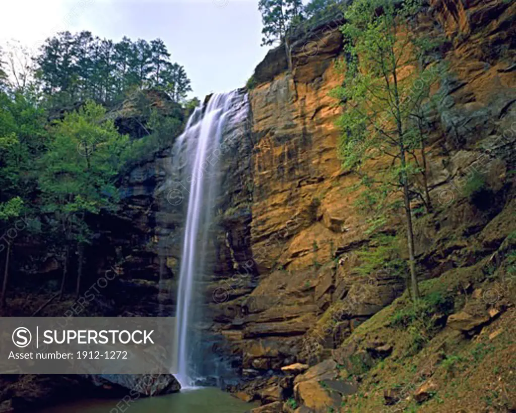 Toccoa Falls  Toccoa Falls Preserve  Southern Appalachians  Georgia