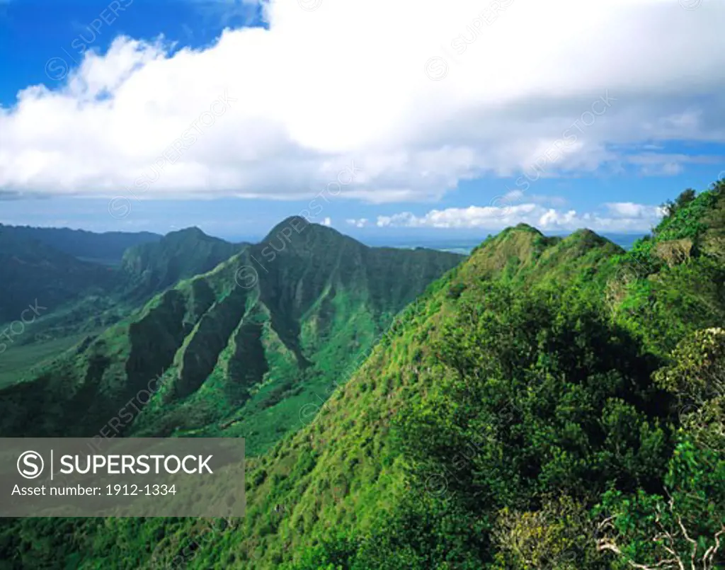 Waianae Mountains  The Nature Conservancy Honouliuli Preserve  Island of Oahu  Hawaii
