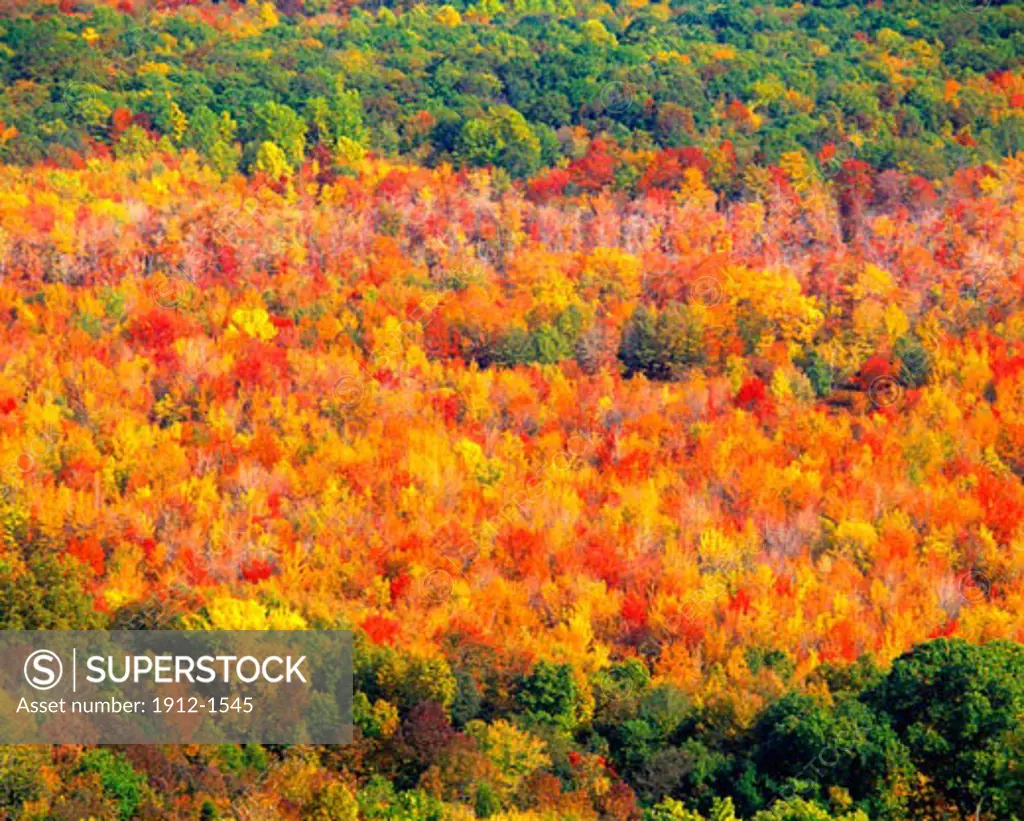Autumn Foliage  Appalachian Trail  Delaware Water Gap National Recreation Area  New Jersey