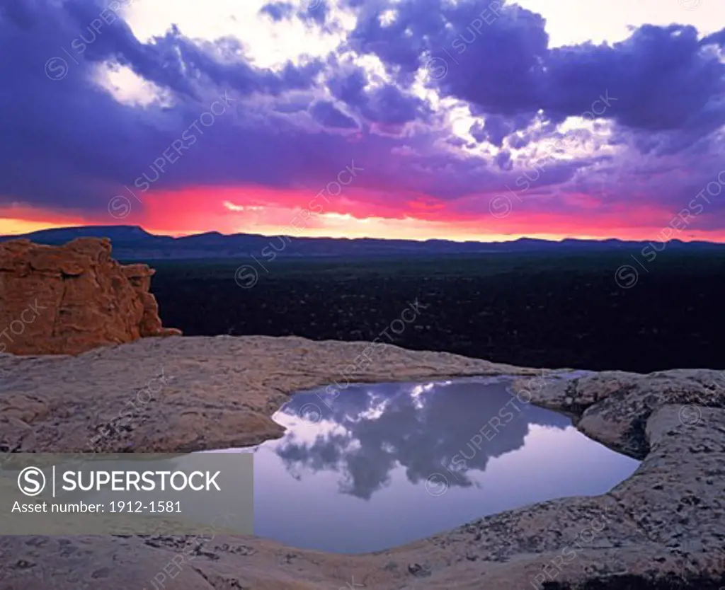 Rainwater pool reflection  El Malpais National Monument  New Mexico