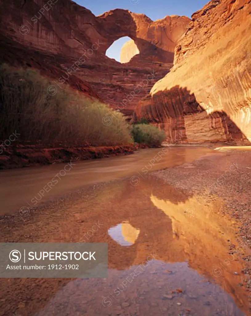 Stevens or Skyline Arch Reflections in Escalante River  Glen Canyon National Recreation Area  Utah