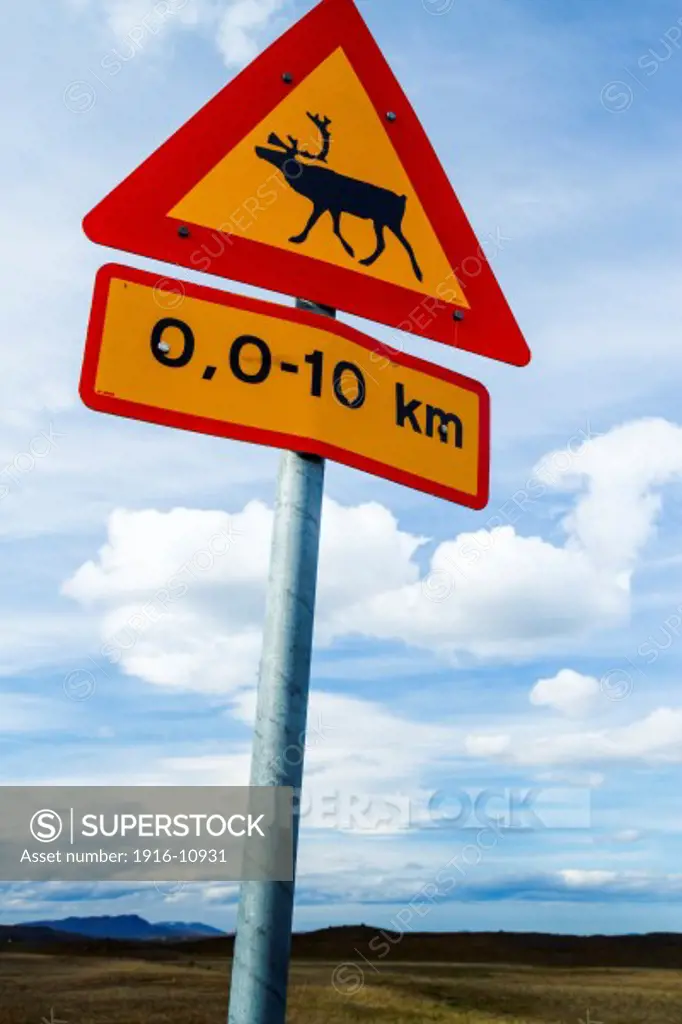 Reindeer sign. Iceland.