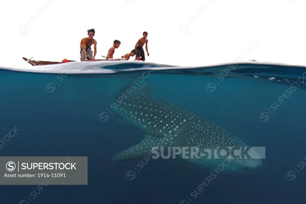 Kids in awe of a whale shark (Rhincodon typus) passing below in the Bohol Sea, Philippines.