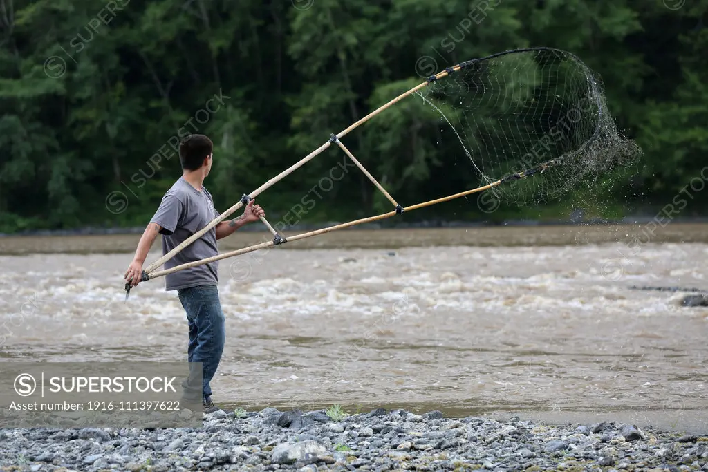 A member of the Yurok Indian Tribe uses a dip net to fish for