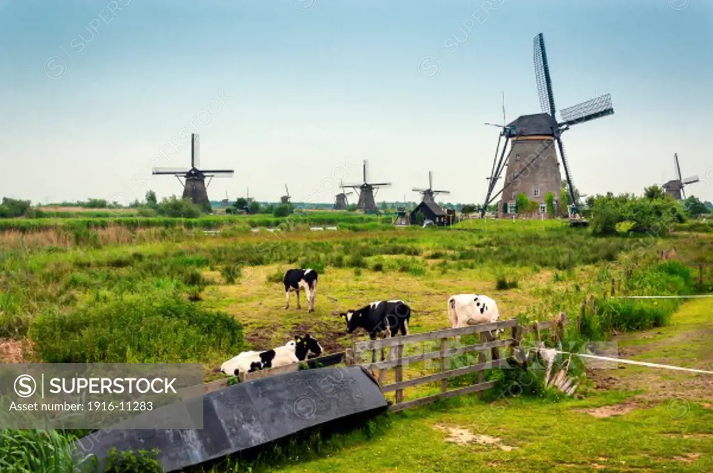 Windmills in Holland (The Netherlands)