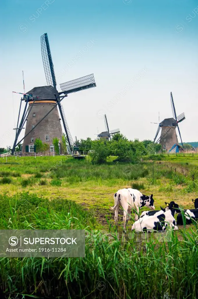 Windmills in Holland (The Netherlands)