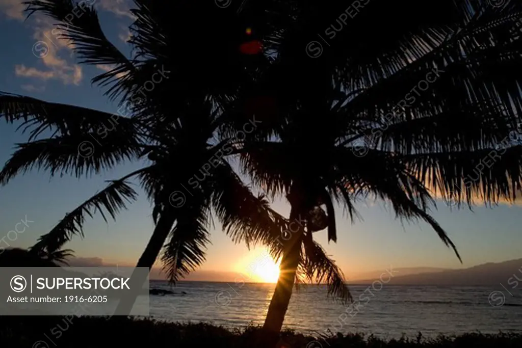 Hawaii, Palm trees on east Molokai, and sun setting beside Maui in background