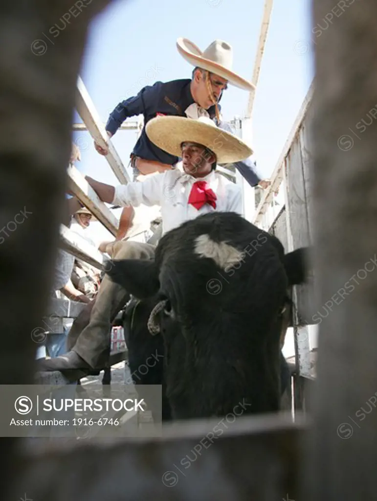 Mexico, San Luis Potosi, Mexican cowboys compete in 'La Charreria'