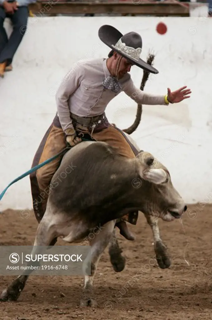 Mexico, San Luis Potosi, Mexican cowboys compete in 'La Charreria'