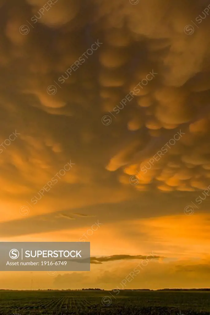 Canada, Mammatus clouds at sunset over prairie agricultural fields