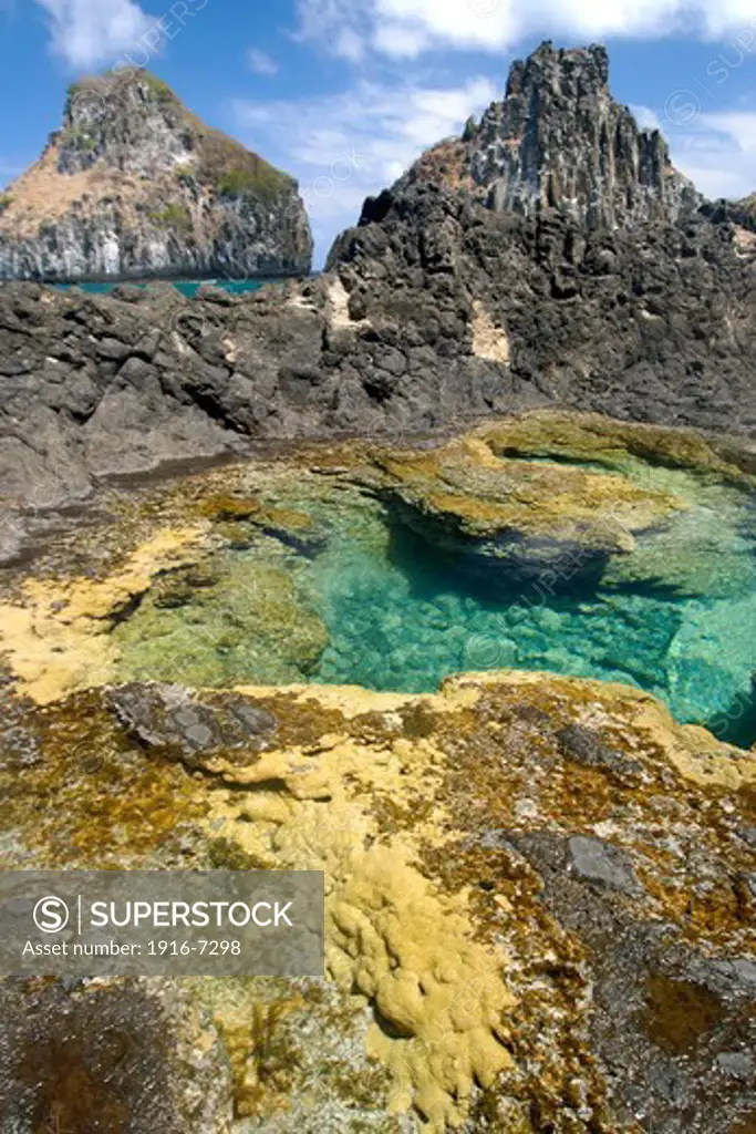 Brazil, Pernambuco, Coral and tide pool with Dois Irmaos in background, Fernando de Noronha national marine sanctuary                              .