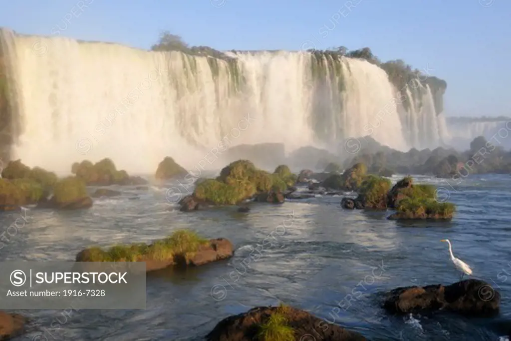 Brazil, Egret, Parana, Foz do Iguacu, Egretta alba, at Iguassu Falls