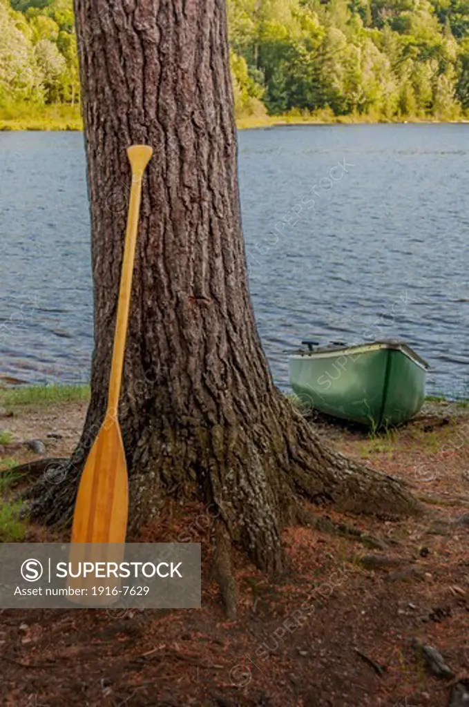 Canada, Ontario, Algonquin Park, canoe and paddle by tree trunk