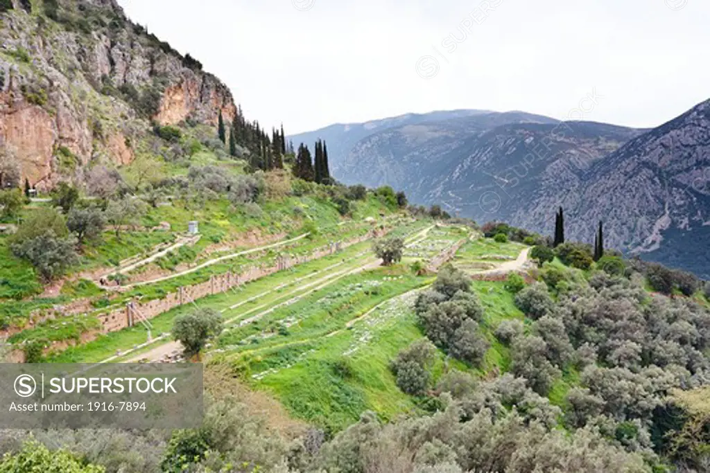 View of the practice track and gymnasium for the Pythian Games of the Sanctuary of Athena from the Sanctuary of Apollo, Delphi, Greece