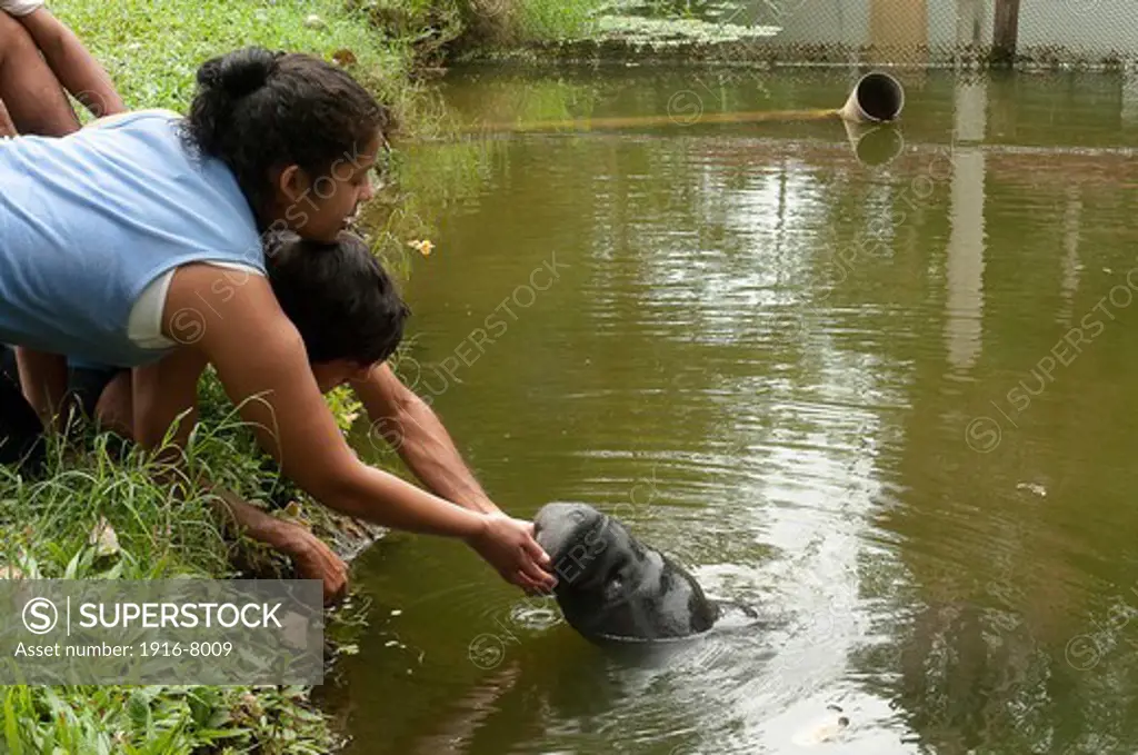 The Centro de rescate is open to visitors, everybody want to pet the animals