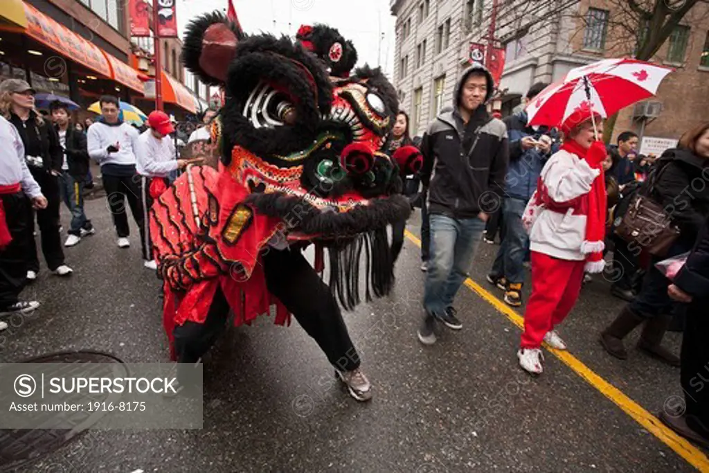 Lion dancers. Chinese new year Celebration. Chinatown, Vancouver, British Columbia, Canada