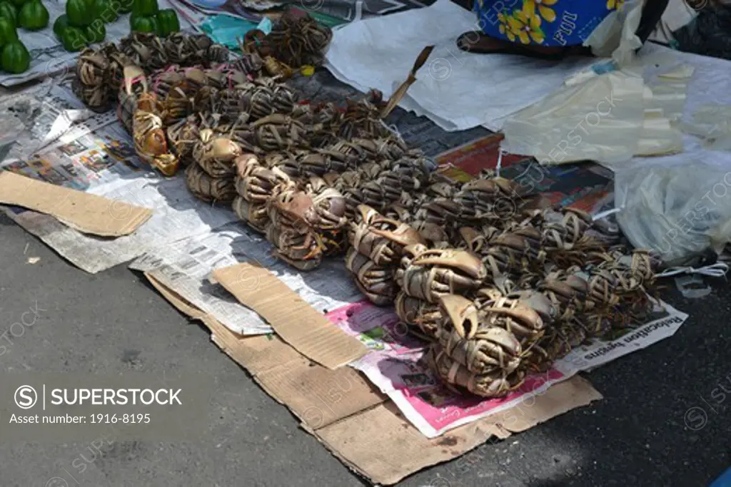Crabs being sold at the Suva market, Suva, Viti Levu, Fiji, South Pacific
