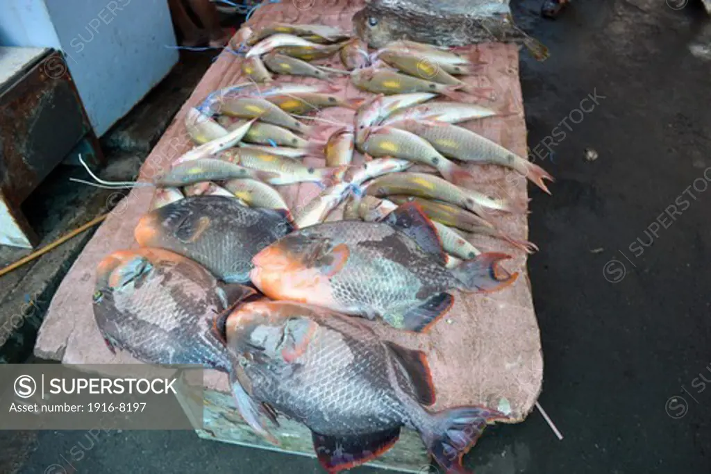 Reef fishes for sale in the Suva market, Suva, Viti Levu, Fiji, South Pacific