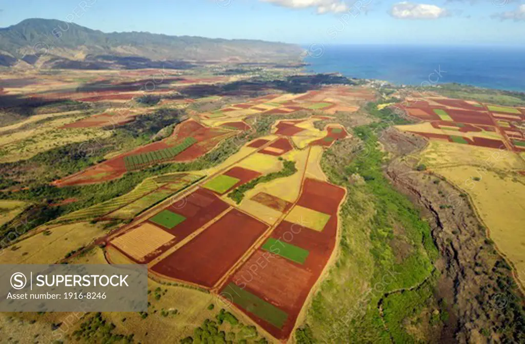 Aerial view of canyon and crop fields in central Oahu, Hawaii, USA