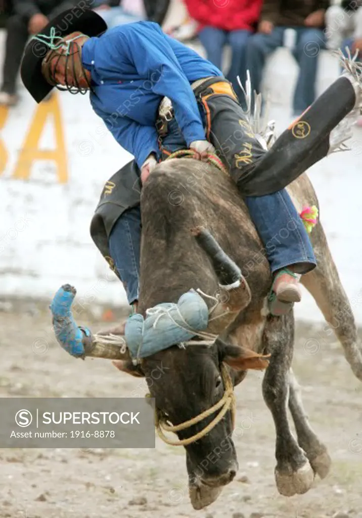 Mexican Rodeo 'Jaripeo', biggest bulls and best riders get together in this rural gathering.