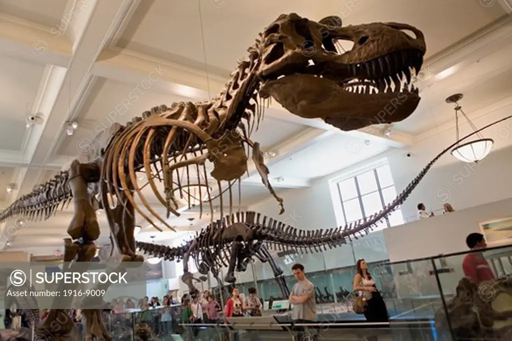 American Museum of Natural History. Hall of saurischian Dinosaurs,New York City, USA