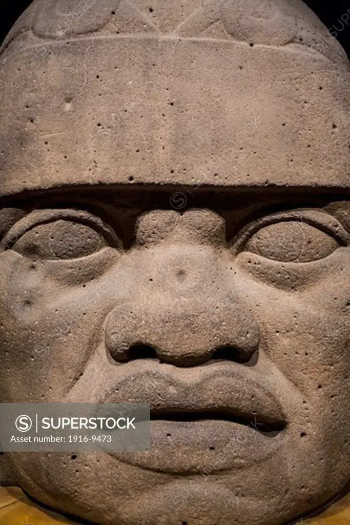 Olmec Giant Head, National Museum of Anthropology. Mexico City. Mexico