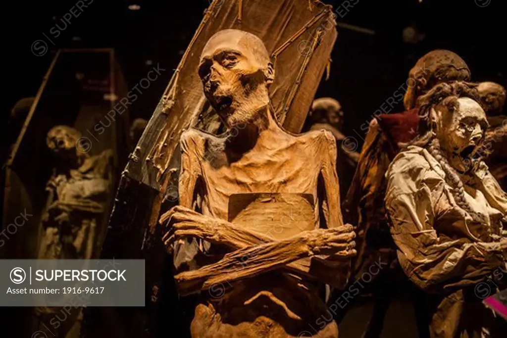 Museum of the Mummies, Guanajuato, state Guanajuato, Mexico